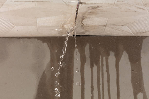 Professional Structural Drying technician working in Juneau, WI